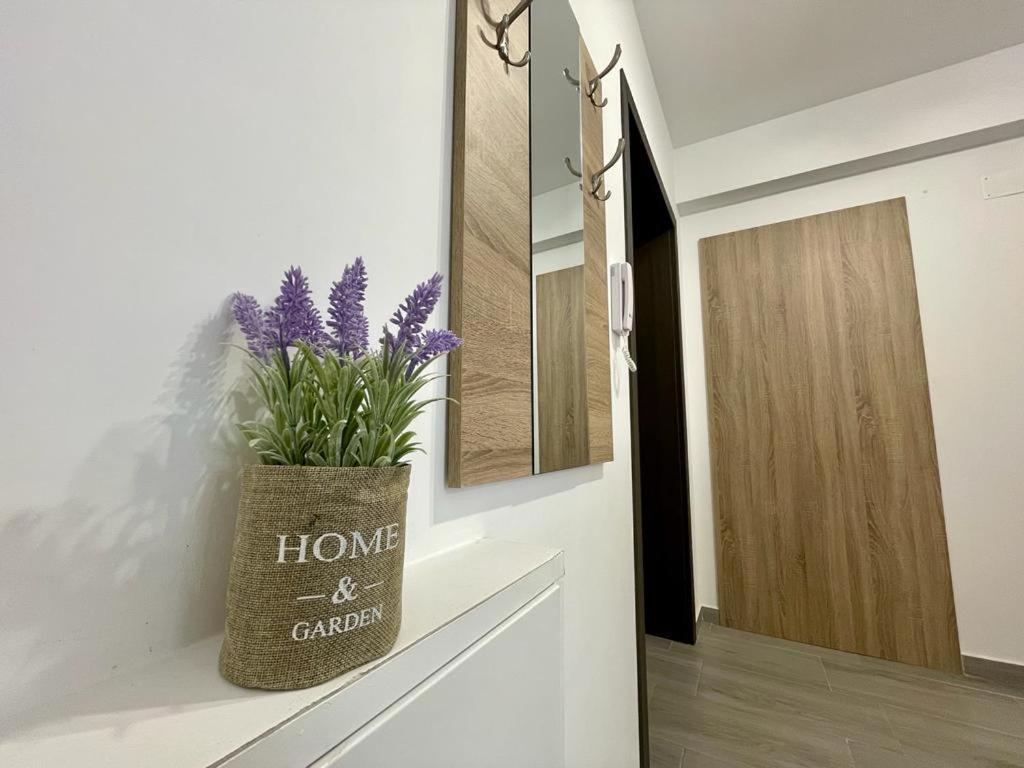 בוקרשט Belvedere Apartments מראה חיצוני תמונה